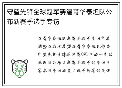 守望先锋全球冠军赛温哥华泰坦队公布新赛季选手专访